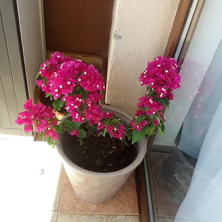 Apartmán Akrotiriya *